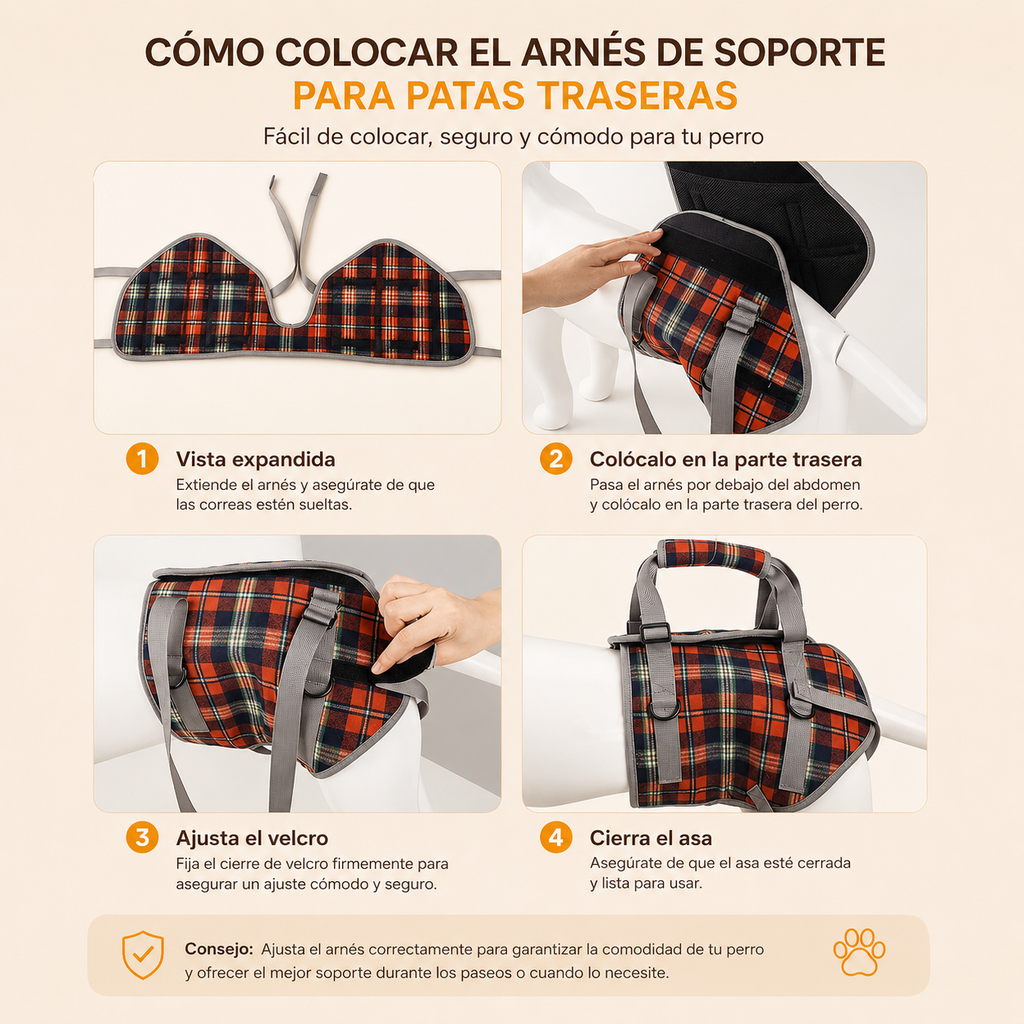 ARNÉS EN PECHERA Ó PATAS TRASERAS
