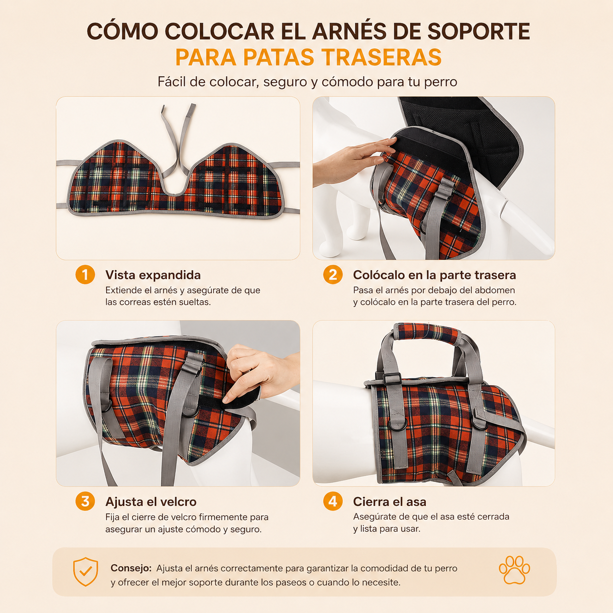 ARNÉS EN PECHERA Ó PATAS TRASERAS