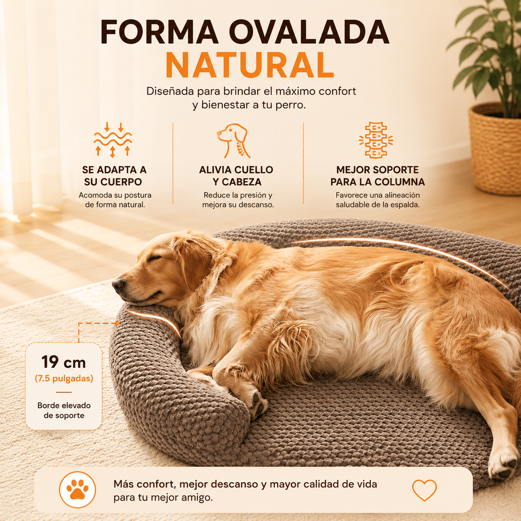 CAMA ORTOPÉDICA CON MEMORY FOAM