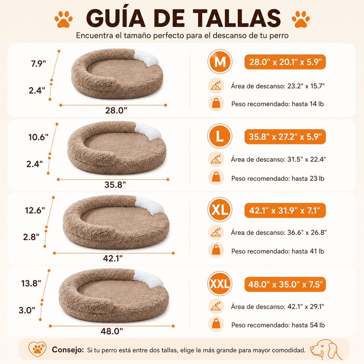 CAMA ORTOPÉDICA CON MEMORY FOAM