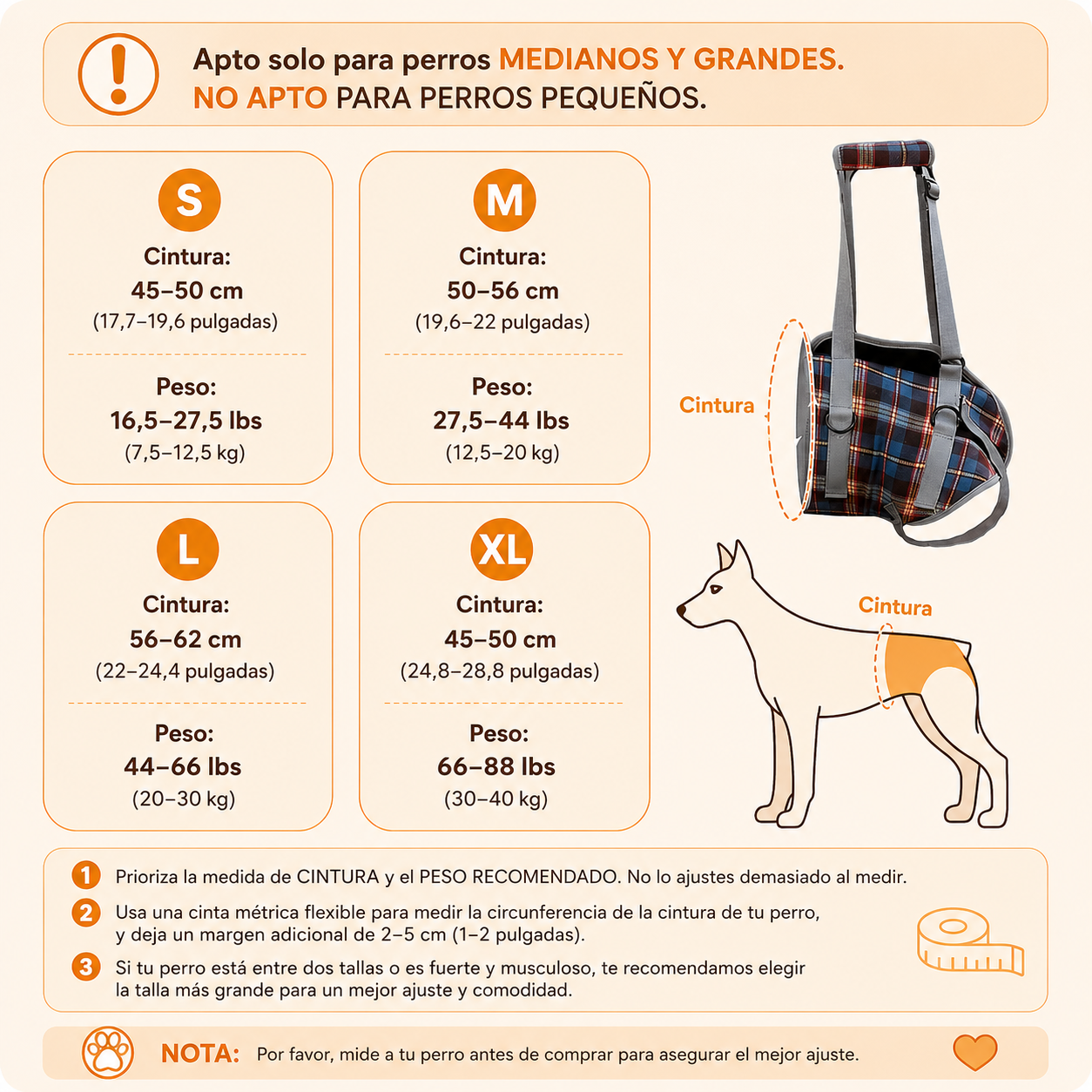 ARNÉS EN PECHERA Ó PATAS TRASERAS